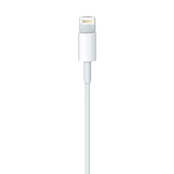 Apple Lightning to USB Cable